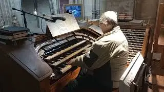 Josef Kšica mladšíKatedrála svatého Víta, Václava a Vojtěcha , (St Vitus Cathedral, Prague, Czechia)