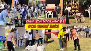 Kennel Foundation Vadodara - Dog Show 2025 | Ultimate Canine Event Coverage!
