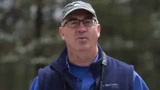 How to Focus Your Birding Binoculars