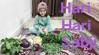 ghar ki hari bhari sabji 🥦🫑🍆🍊🍅 #gaurvisolankivlog #dailyvlog #familyvlog #vloggerlife #vegetables 