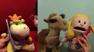 Camel ha beeb ha bob compilation