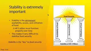 Food Stability