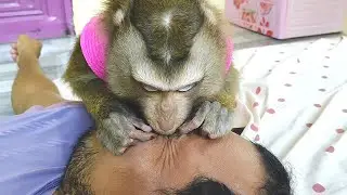 Dr. Bela Llck Grooming Eye ASMR More Sensitive Place Relaxing