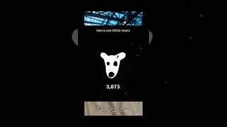 Новый бот в Telegram DOGS / DOGS bot telegram / Telegram airdrop