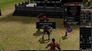 Metin2 ro Volans Plusare iteme.avi