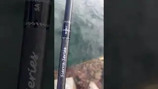 Dobyns Sierra Series is the best Series Fishing Rod    #shorts