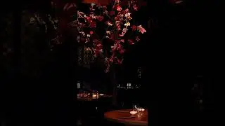 Piękne wnętrza Wabu Sushi - poczuj klimat Japonii