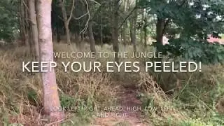 Friendly Forces Video