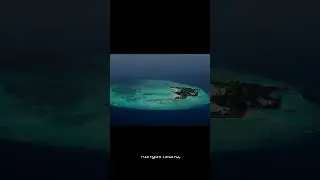 Discover the Unseen: Top 5 Underwater Hotels Worldwide  | Infinite Steps