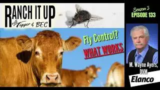 Got Flies?  Here Are Your Fly Control Solutions!!