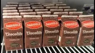 I BOUGHT ALL THE DARIGOLD CHOCOLATE MILK HUNTING GROCERY SHOPPING EPISODE 1