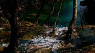 River Ambience for Anxiety Relief - Soothing Sounds of Nature - 2 Hours 5 Minutes