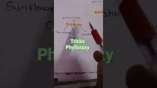 morphology of flowering plants trick class 11neet