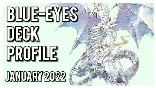 BEST! Blue-Eyes Deck Profile! JAN 2022!