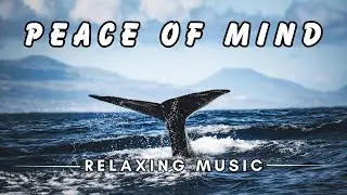 Oceans Kings are THE BEST Medicine for Peace of Mind