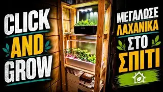 CLICK AND GROW έ&xi;&upsilon;&pi;&nu;&epsilon;&sigmaf; &gamma;&lambda;ά&sigma;&tau;&rho;&epsilon;&sigmaf; , 1 &Mu;ή&nu;&alpha;&sigmaf; &mu;&epsilon;&tau;ά ...(5 months review)