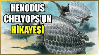 Henodus'un Ardında Bıraktığı Bilim Mirası: Fosiller ve &Ouml;ğretiler Belgeseli