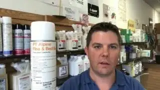 Best Flea Control For Inside The Home-Pest Control Spring Hill FL