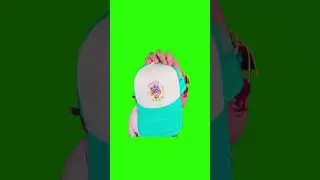 DRAKE ANITA MAX WYNN I need the max win Green screen