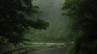 1.5 Hours of Relaxing Rain Sounds | Sleep, Focus & Calm Ambience