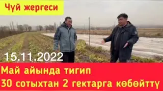 30 сотыхтан 2 гектарга көчөттү кантип көбөттү?