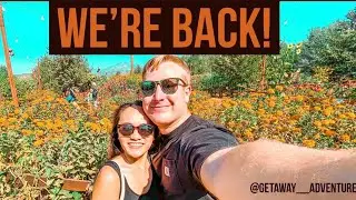 LIVE OAK CANYON PUMPKIN PATCH