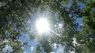 Ruhiger Ort im Wald, ohne St&ouml;rungen.