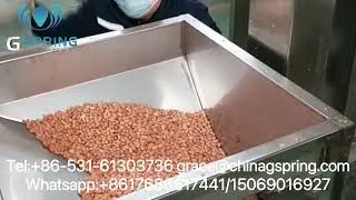 Lastest technology Belt Chain Type Nuts Roasting Machine#machine # Nuts Roasting