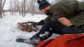 Foraging for Chaga + Steeping it in the Bush