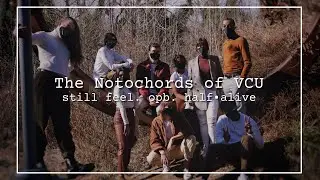 The Notochords of VCU, Virginia Commonwealth University - ICCA Mid-Atlantic Semifinals