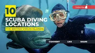[2023] The British Virgin Islands Dive Sites That Will Blow Your Mind: Top Scuba Diving Locations