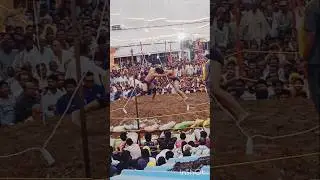 sunwara dangle # sunwara #dangle #viral #shorts #video