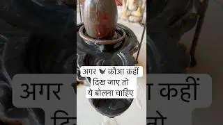 कौआ कहीं दिख जाए तो क्या करना चाइए #vastu #vastutips #vastushastra #miracle #ytshorts #pradeepmishra