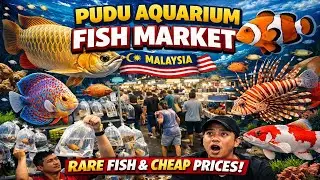 Pudu ornamental fish market #malaysia #fishmarket