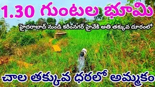 Agriculture land for sale||Vari Polam||Water facility Available||1.30 Acres||#agriculture