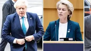 Brexit LIVE Trade coIIapse warning over red tape 'nightmare' as major date looms