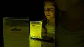 Turmeric+water+light=#Magic✨✨🌟💫#reels #cool #entertainment #kids #light #treanding #viral
