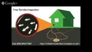 Termite Control Los Angeles | 310-912-7747 | Free Termite Inspection