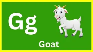 Learn letter G with Scope Kids | Glasses, Gift, Guava, Guest, Garlic & Gloves #alphabet#ScopeKids