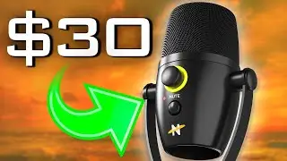 Neat Bumblebee ii Mic Review &ndash; Amazing Sound or Not?