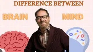 Understanding how our minds work. Default Mode Networks