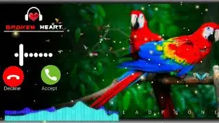 😲World Famous New Instrumental Ringtone2022//Best Mobile Ringtone//New Flute Ringtone//B I Music 2M😲