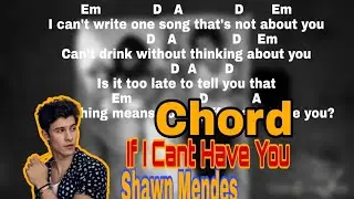CHORD IF I CAN'T HAVE YOU ~ SHAWN MENDES