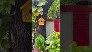 DIY Bird House | Easy Garden Craft for Happy Birds #birdhouse #diybirdhouse #gardenproject #shorts
