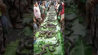 life in a snek food market ‪@TechWizCreative‬ #streetfood
