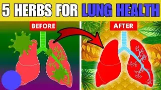 🌿 5 Powerful Herbs for Lung Health: Clear Mucus, Combat COPD, & Kill Viruses!