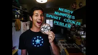 Nerdy Nummies Perler Logo