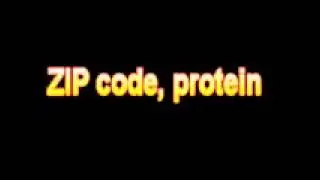 What Is The Definition Of ZIP code, protein