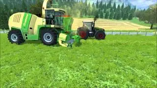 [LS13] Grass in Walchen | Full HD