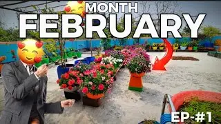 FEBRUARY MONTH ROOFTOP GARDEN TOUR #1 #NOTEDITED #NATURAL